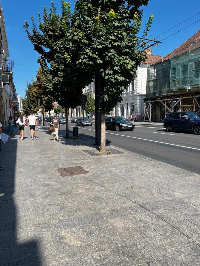 Ndl Downtown Cluj Apart otel Dış mekan fotoğraf